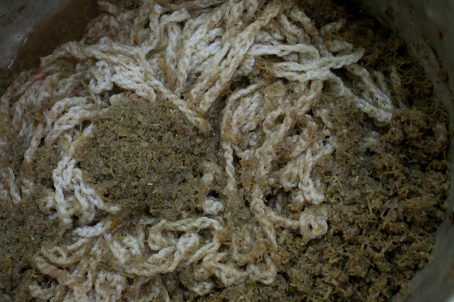 HUITO_galeria 10 _MG_5881.jpg